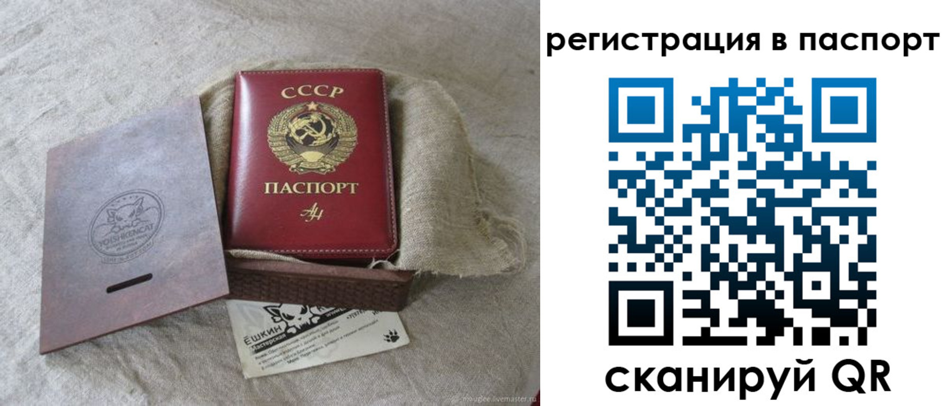 прописка регистрация в Элисте